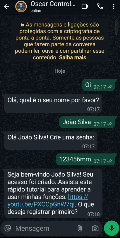 Interface Financeira 1